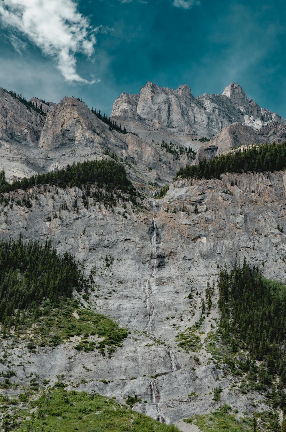 green trees near rocky mountain during daytime