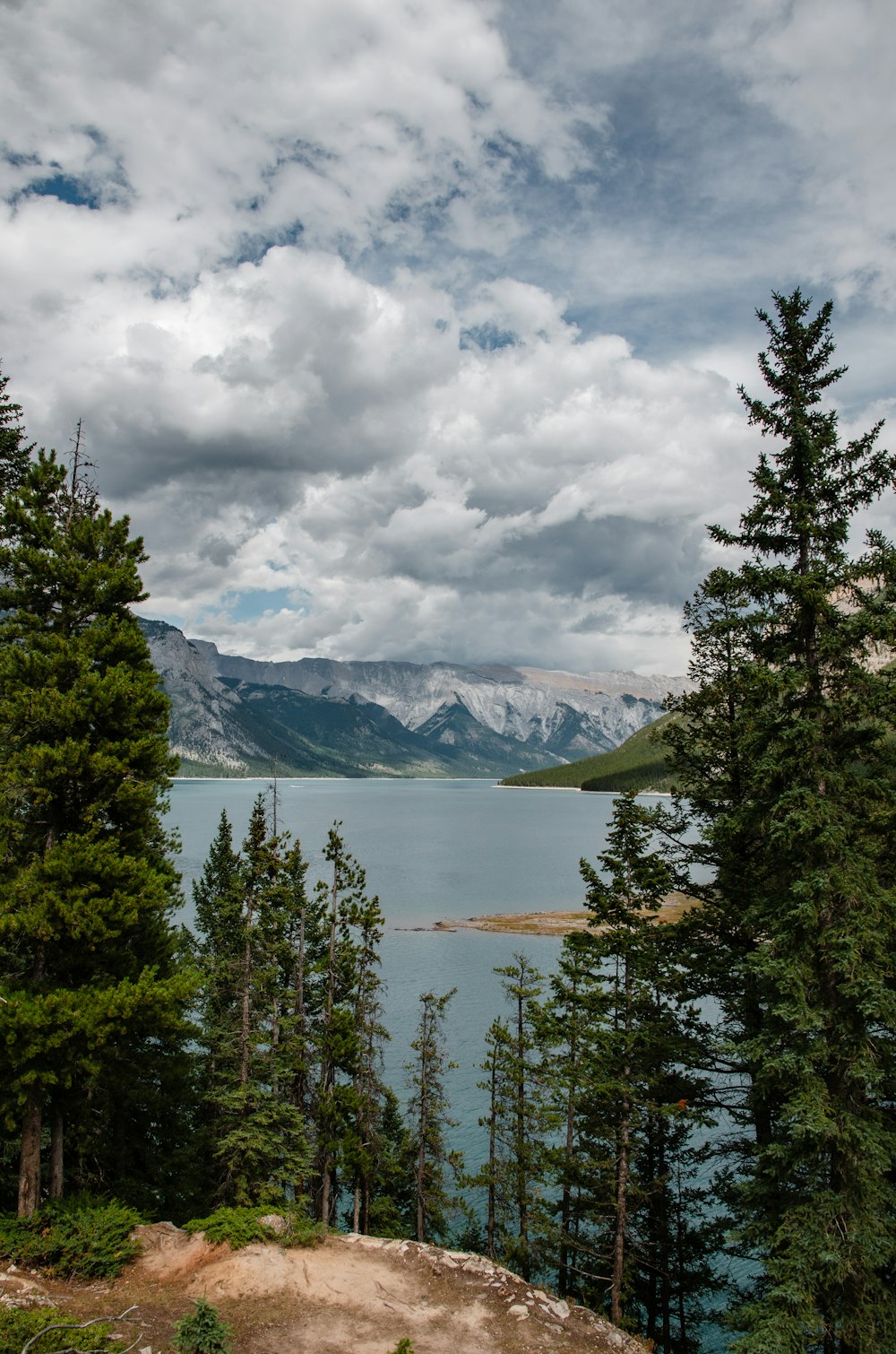 arbres verts près du lac sous ciel nuageux pendant la journée