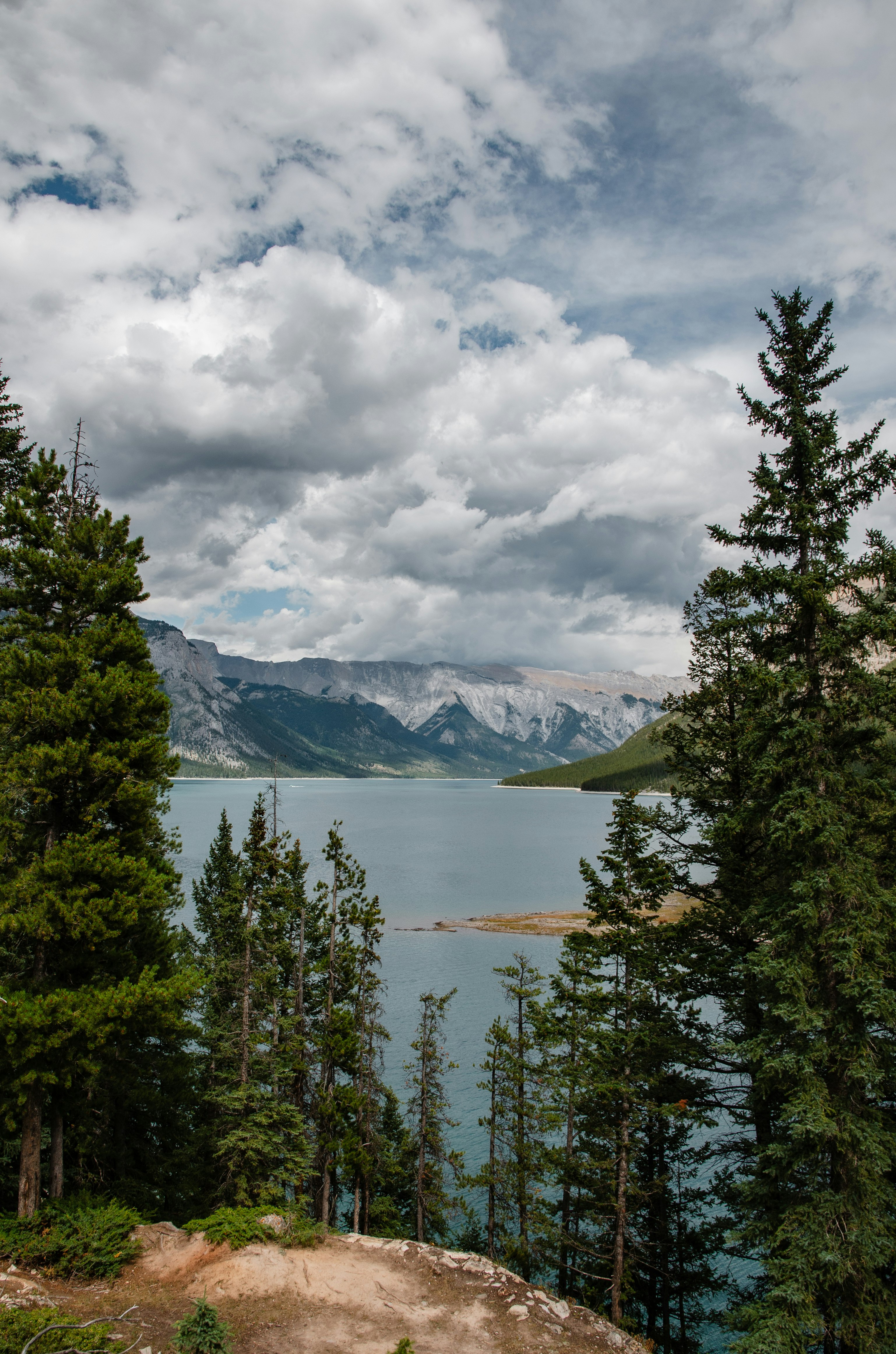 green trees near lake under cloudy sky during daytime