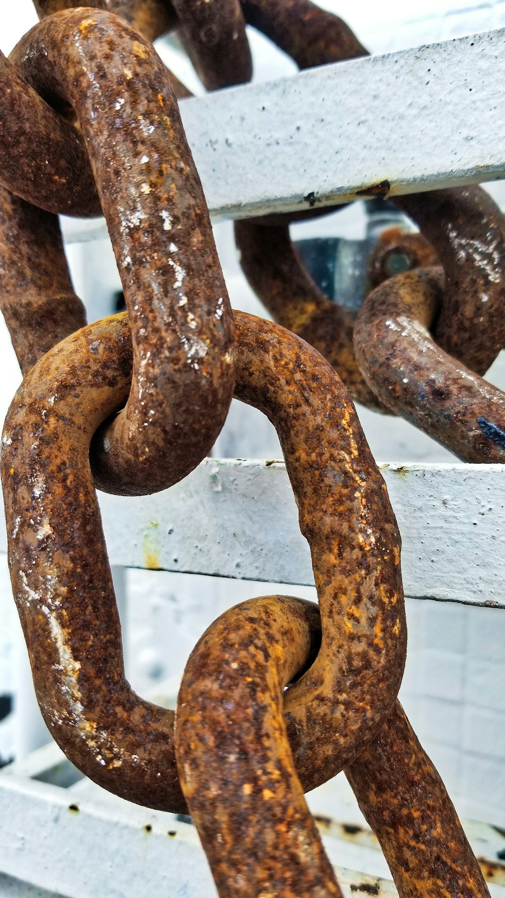 brown metal chain on grey metal fence