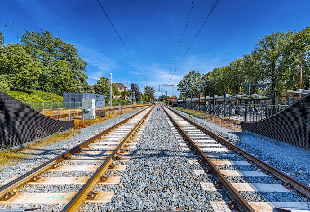 train rail tracks near green trees during daytime