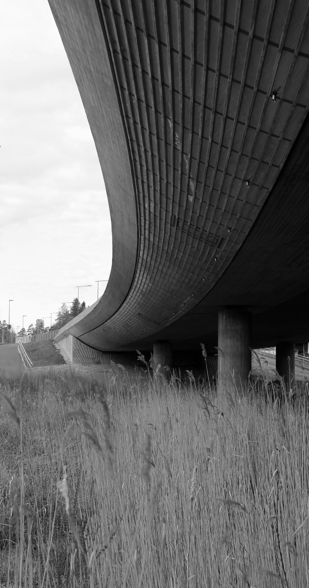 Foto in scala di grigi del ponte in cemento