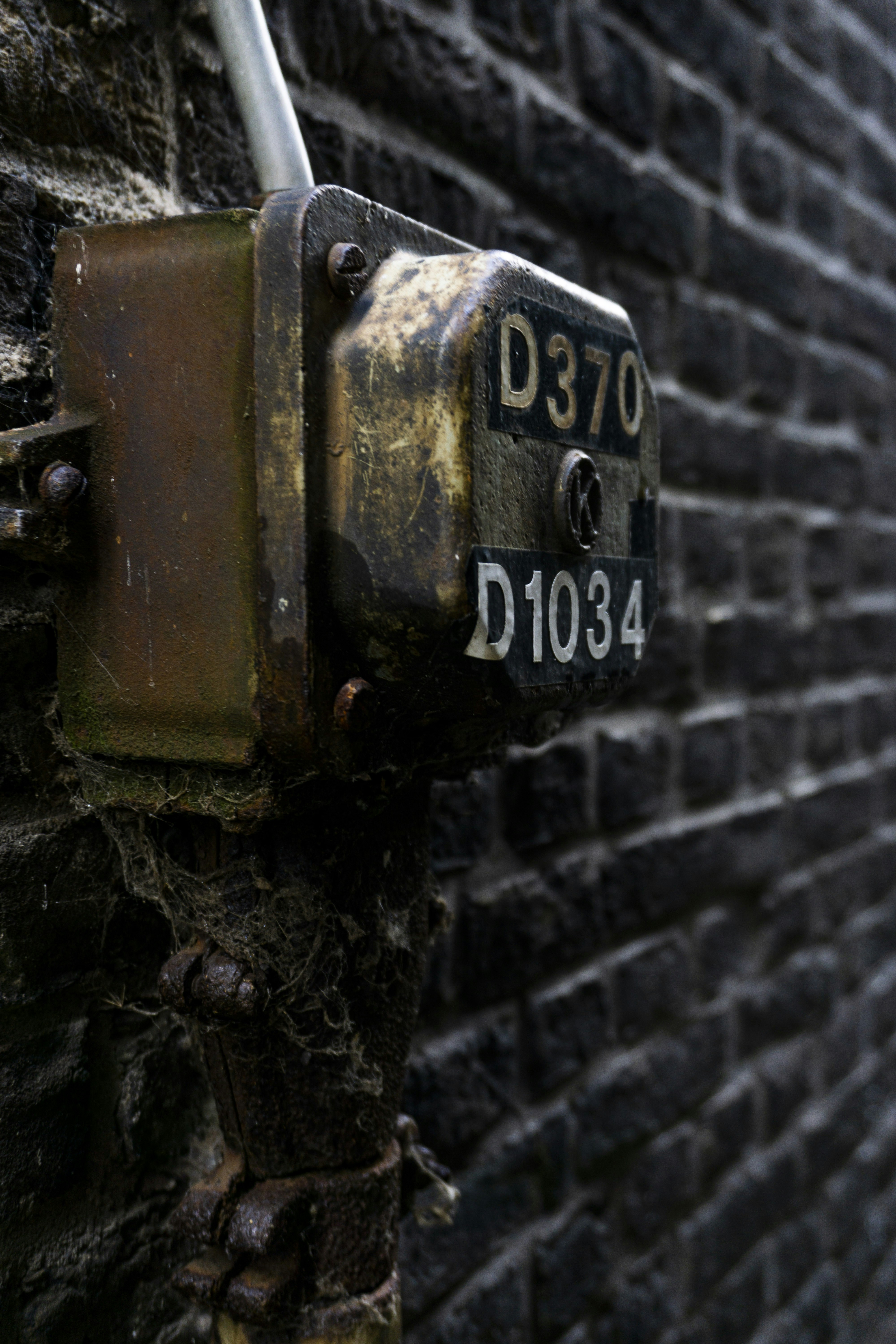 Photo by yeinerhand
