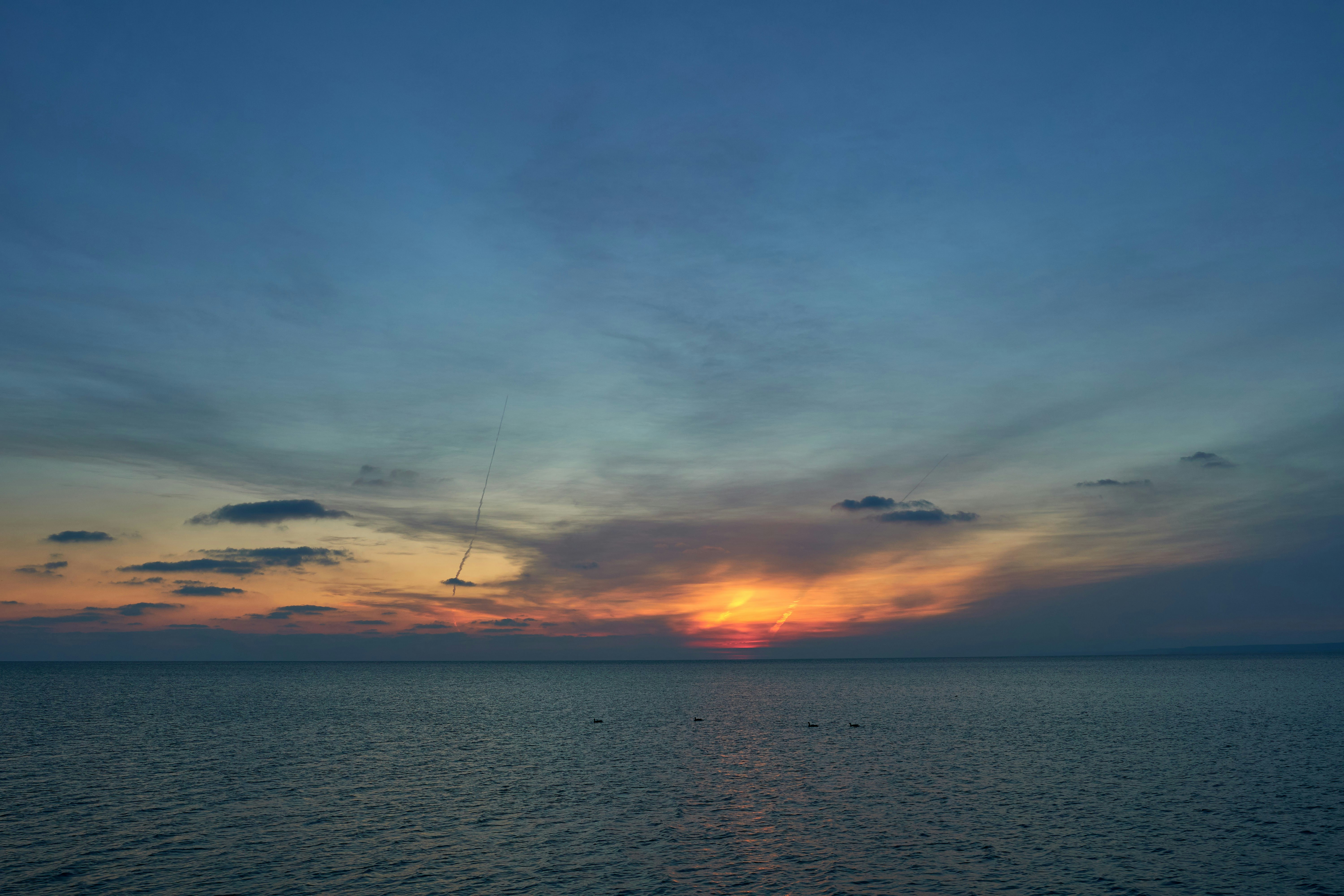 Photo by wolfgang_hasselmann