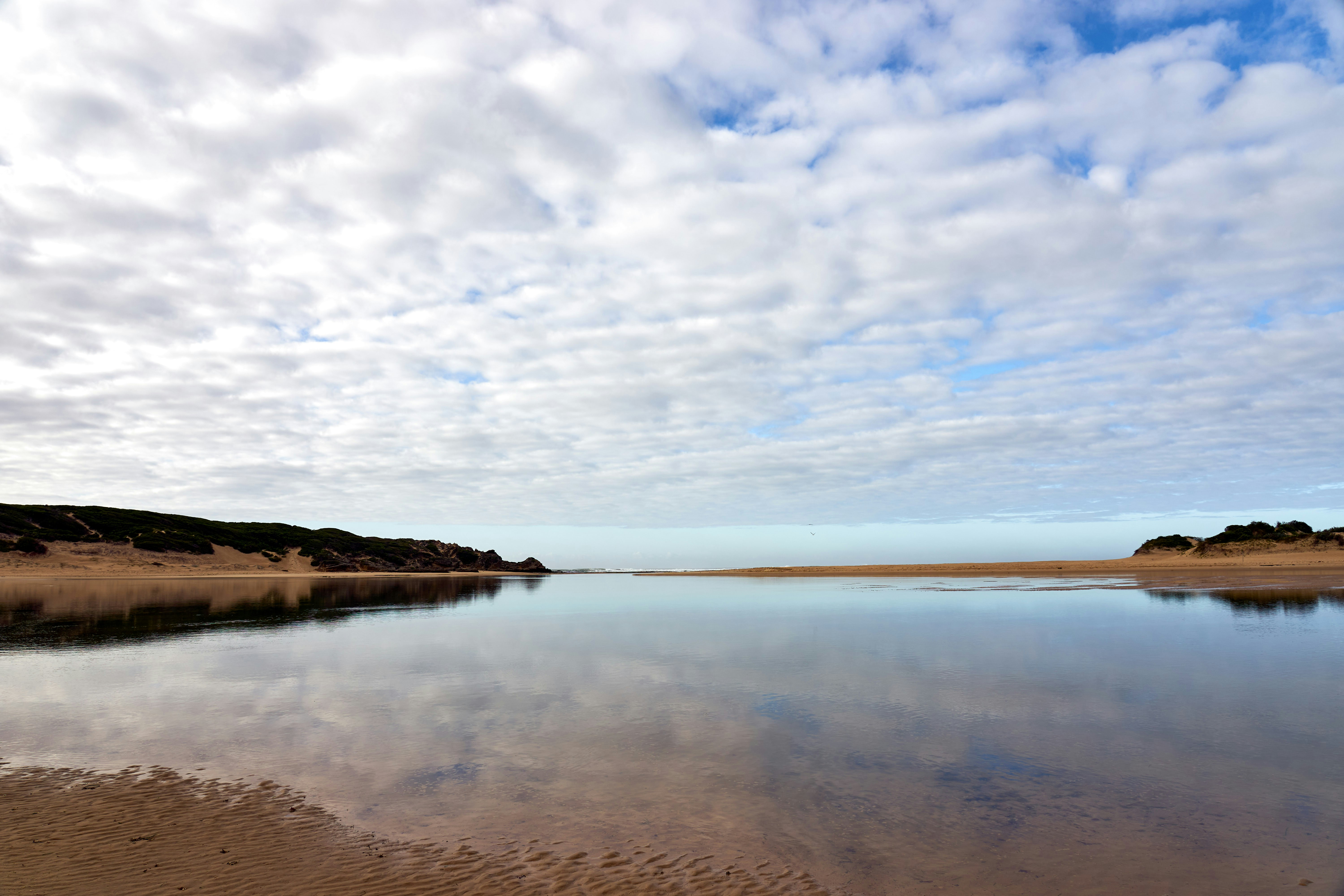 Photo by wolfgang_hasselmann