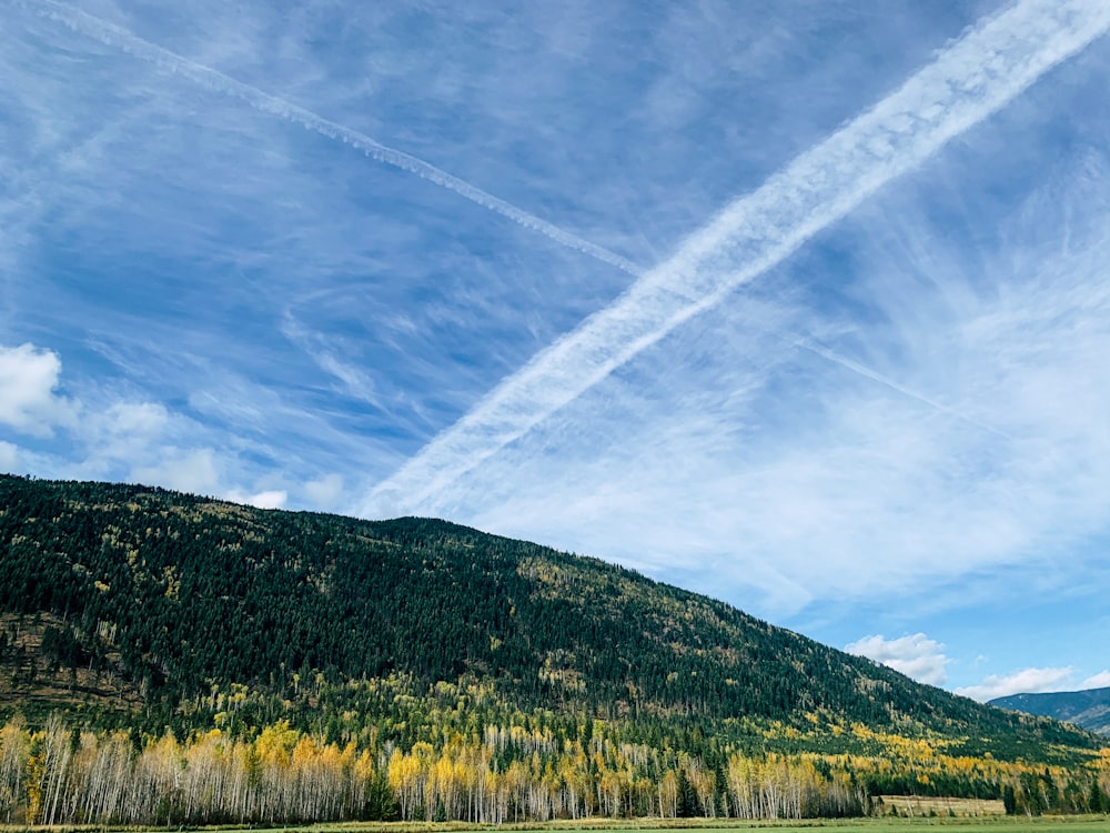 green trees under blue sky and white clouds during daytime