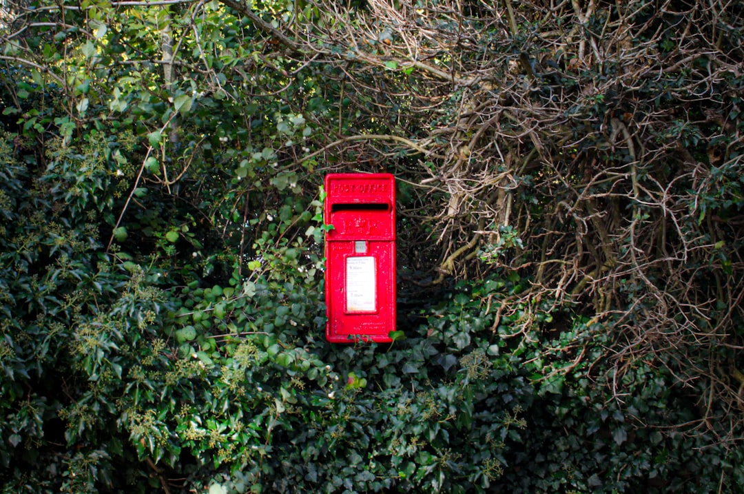 red mail box on brown tree