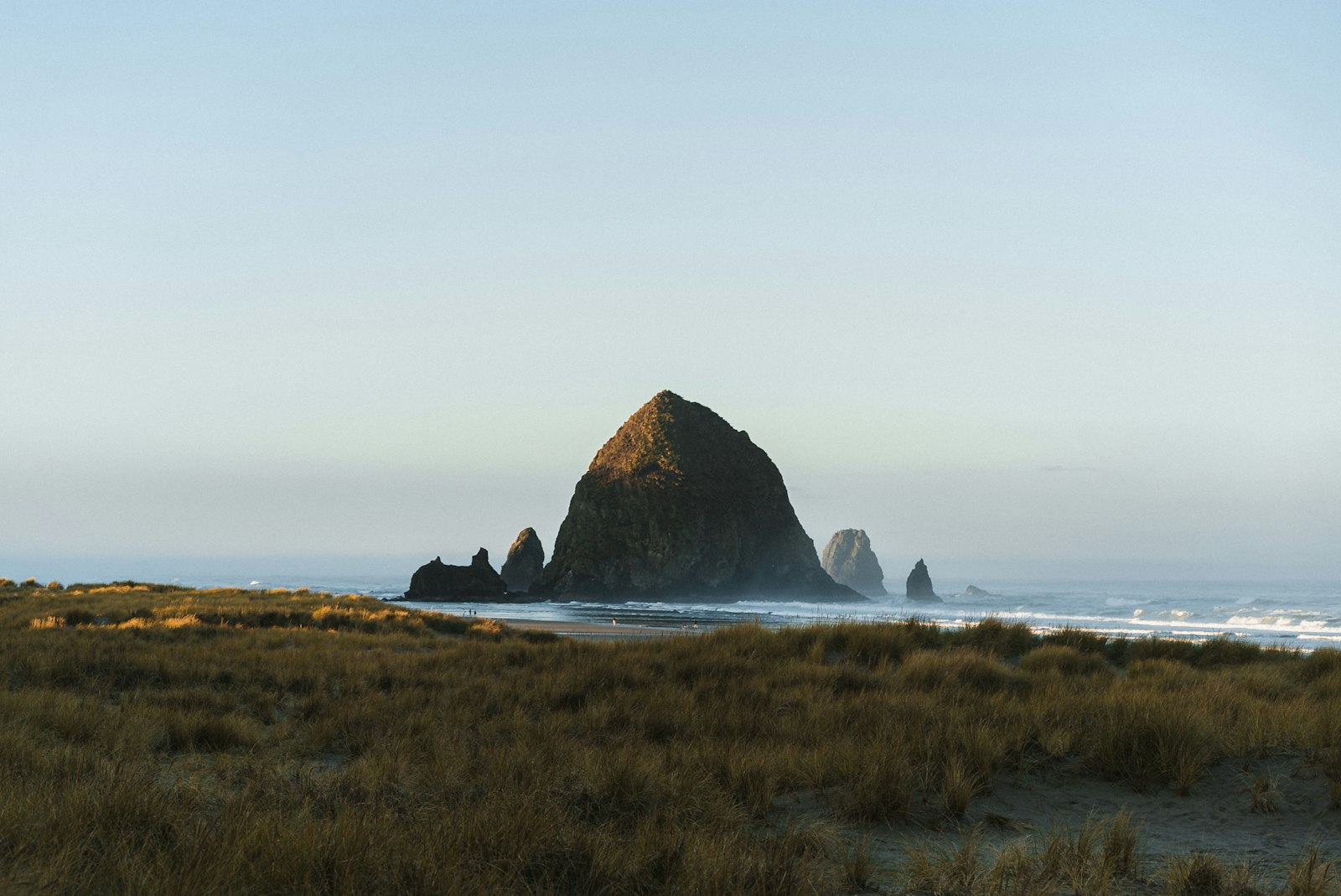Haystack Rock rising from a flat sandy beach beyond a foreground of dune grass under a pale sky