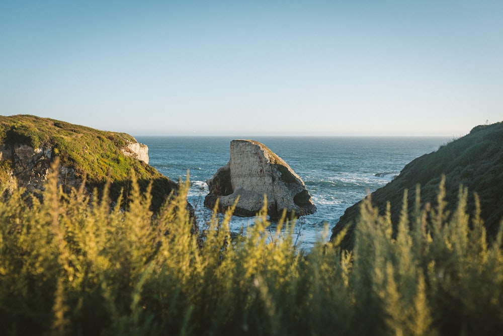 green grass on brown rock formation near body of water during daytime