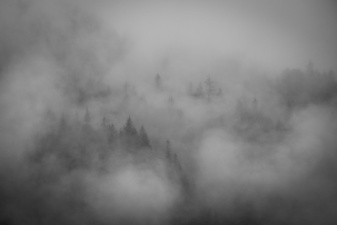 grayscale photo of clouds and trees