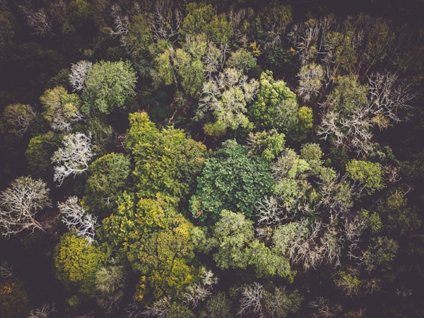 De klimaatverandering is een acuut probleem, maar onderzoek toont aan dat twee problemen nog dringender zijn