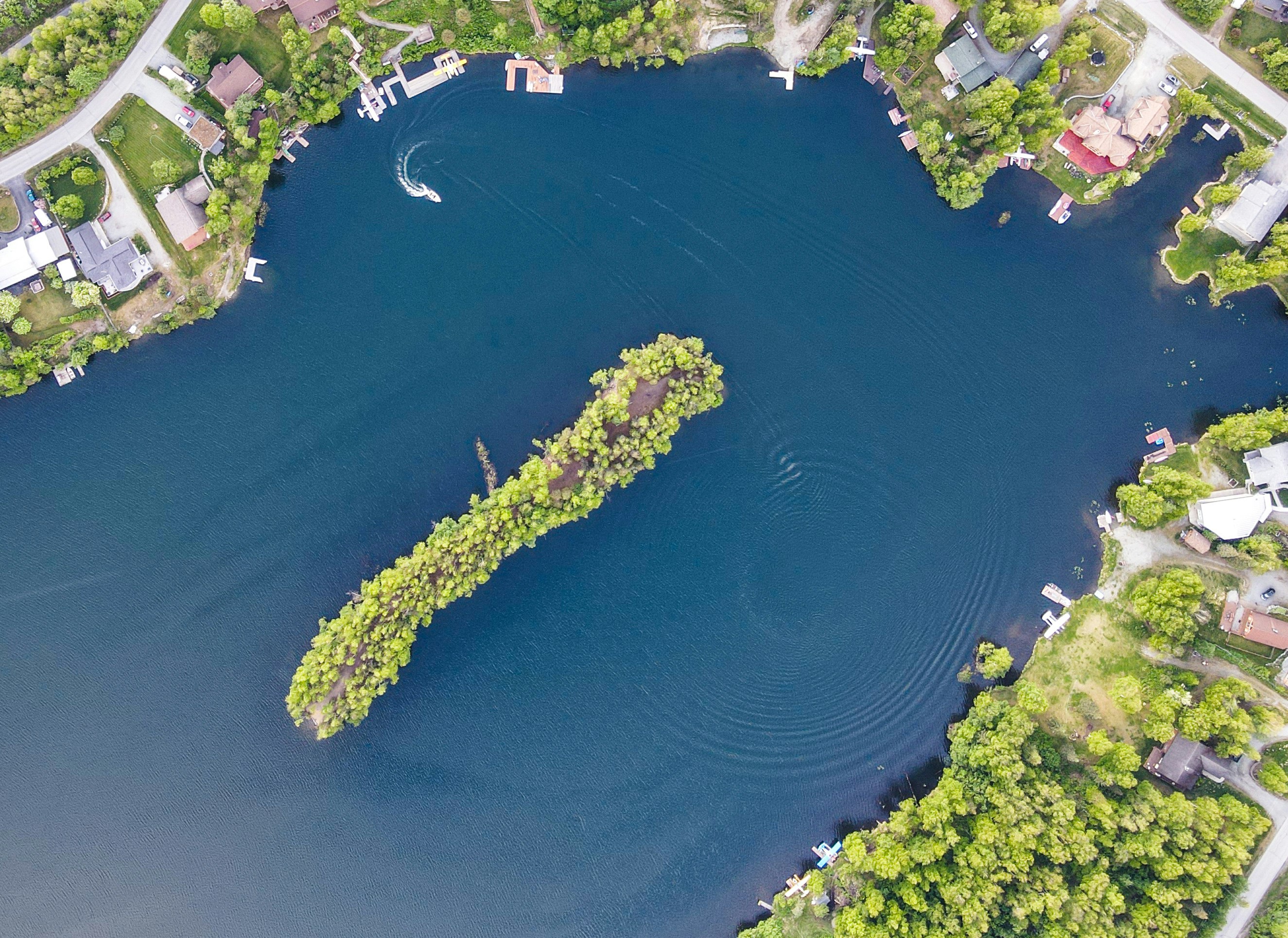 aerial view of green trees and body of water during daytime