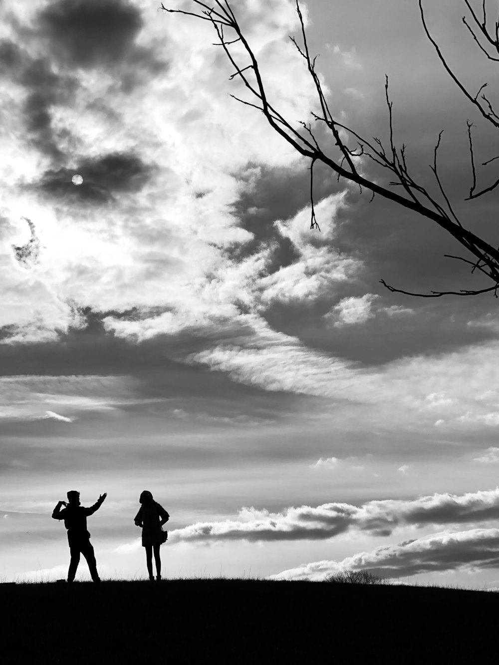 昼間の曇り空の下、木の枝の上に立つ2人のシルエット
