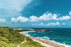 green grass field near body of water under blue and white cloudy sky during daytime