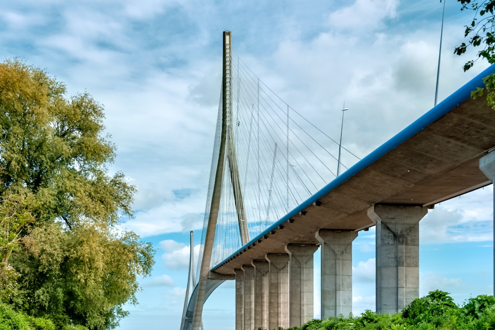 white bridge under blue sky during daytime