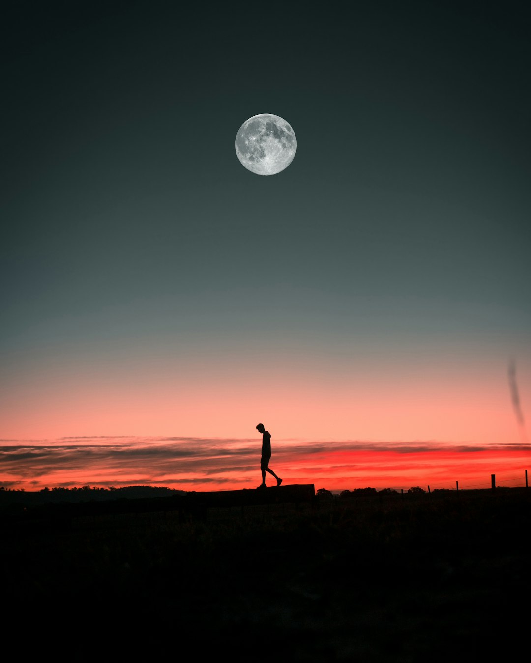 silhouette of person standing on grass field during sunset