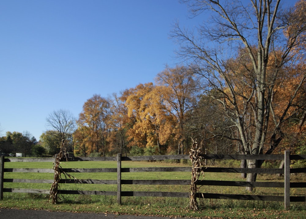 brown wooden fence near brown trees under blue sky during daytime