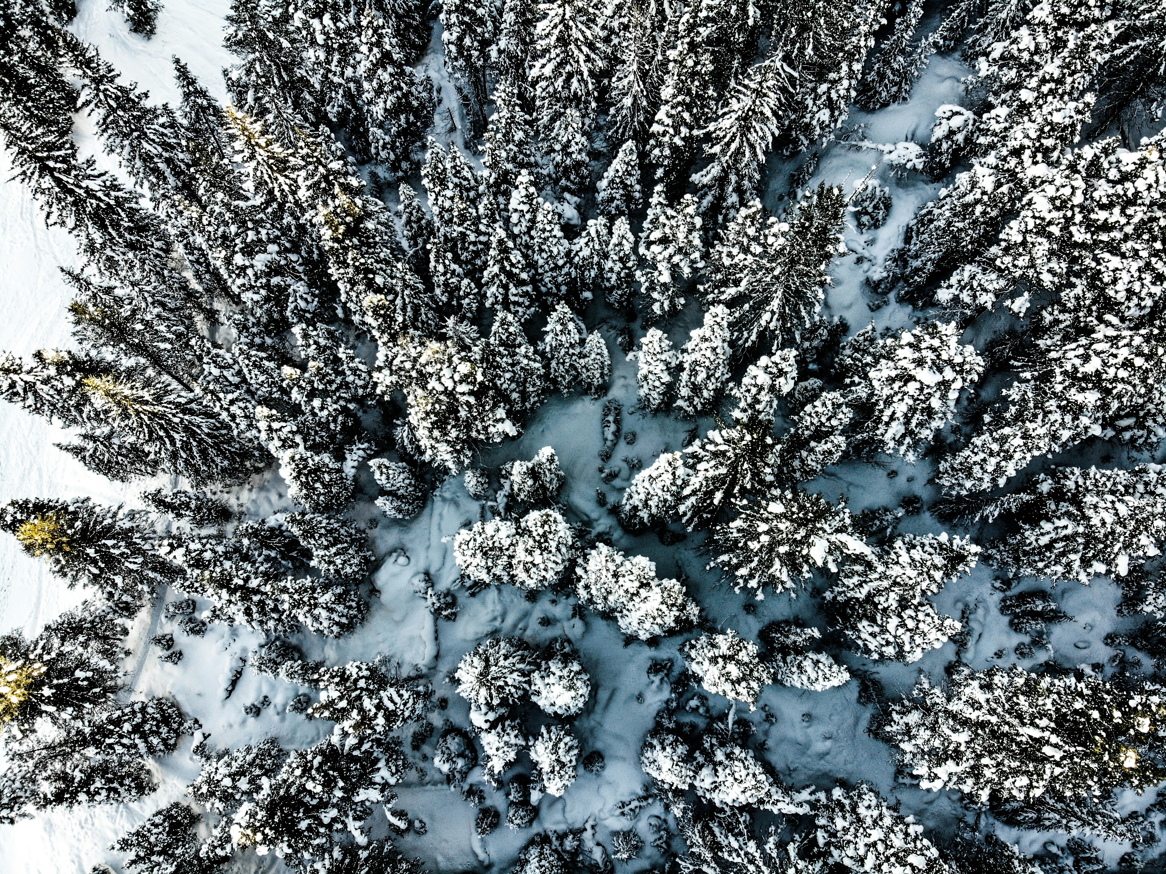 Photo by capturelight