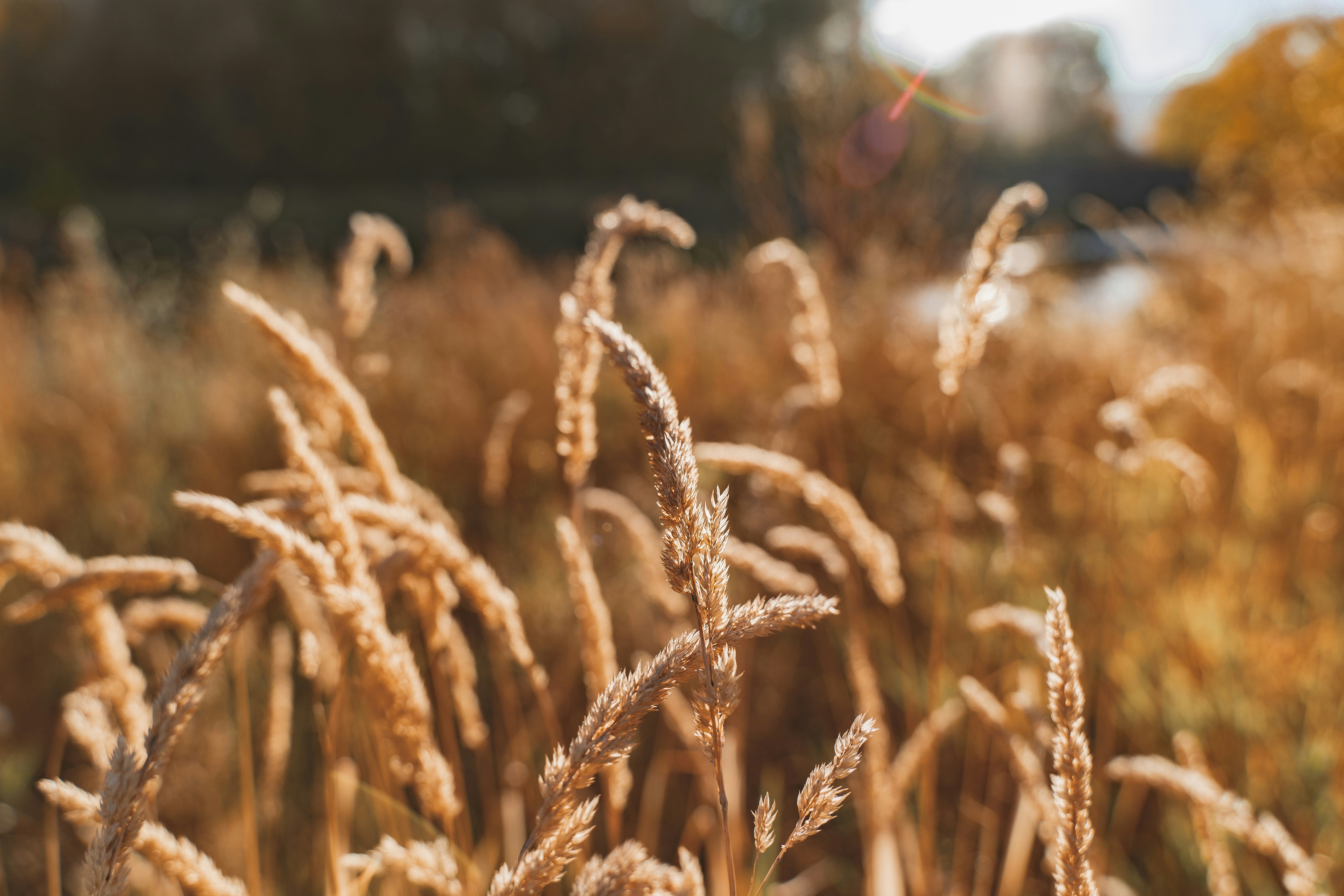 Photo by courtneysmith