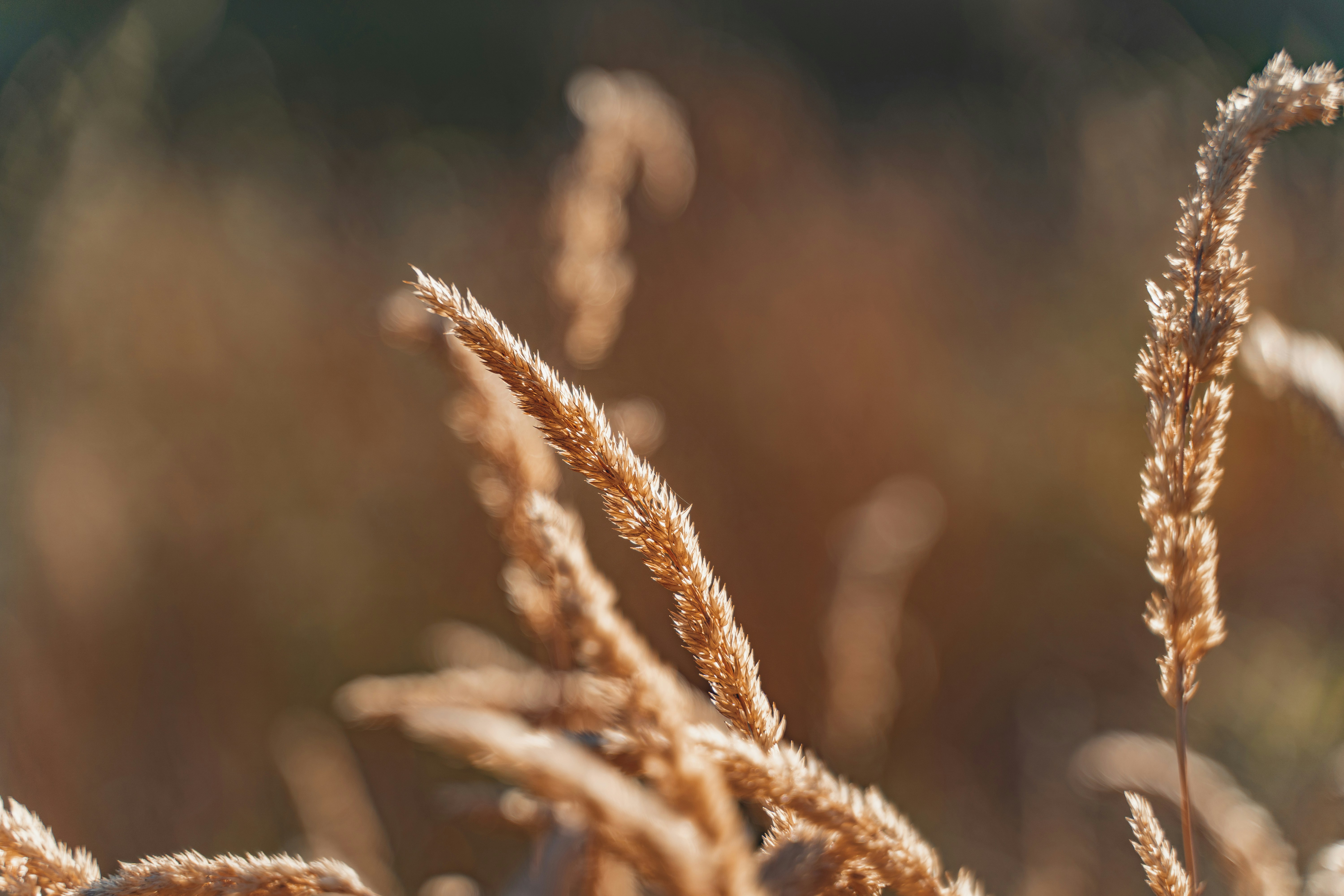 Photo by courtneysmith