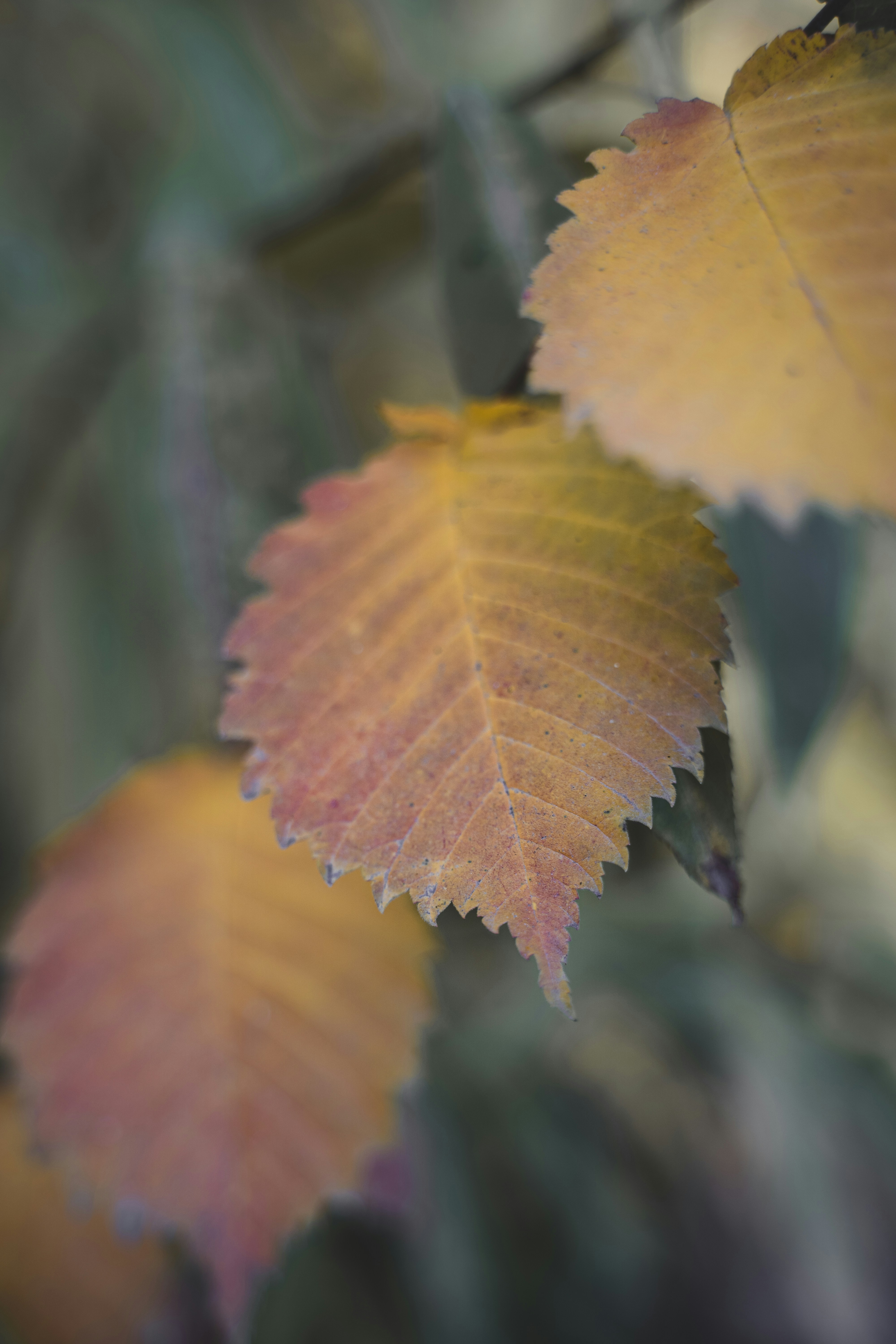 Photo by courtneysmith