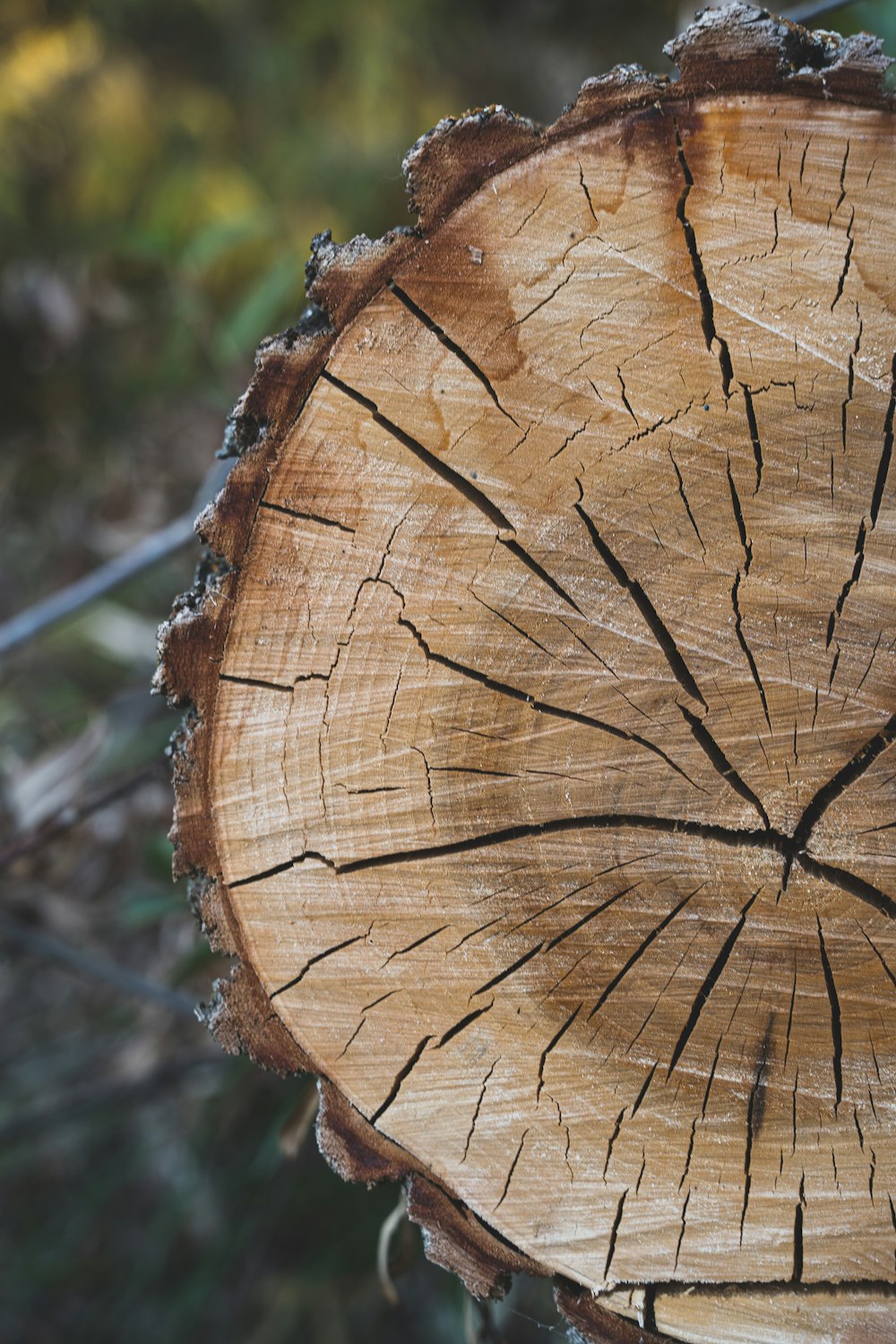 ornement rond en bois marron et noir