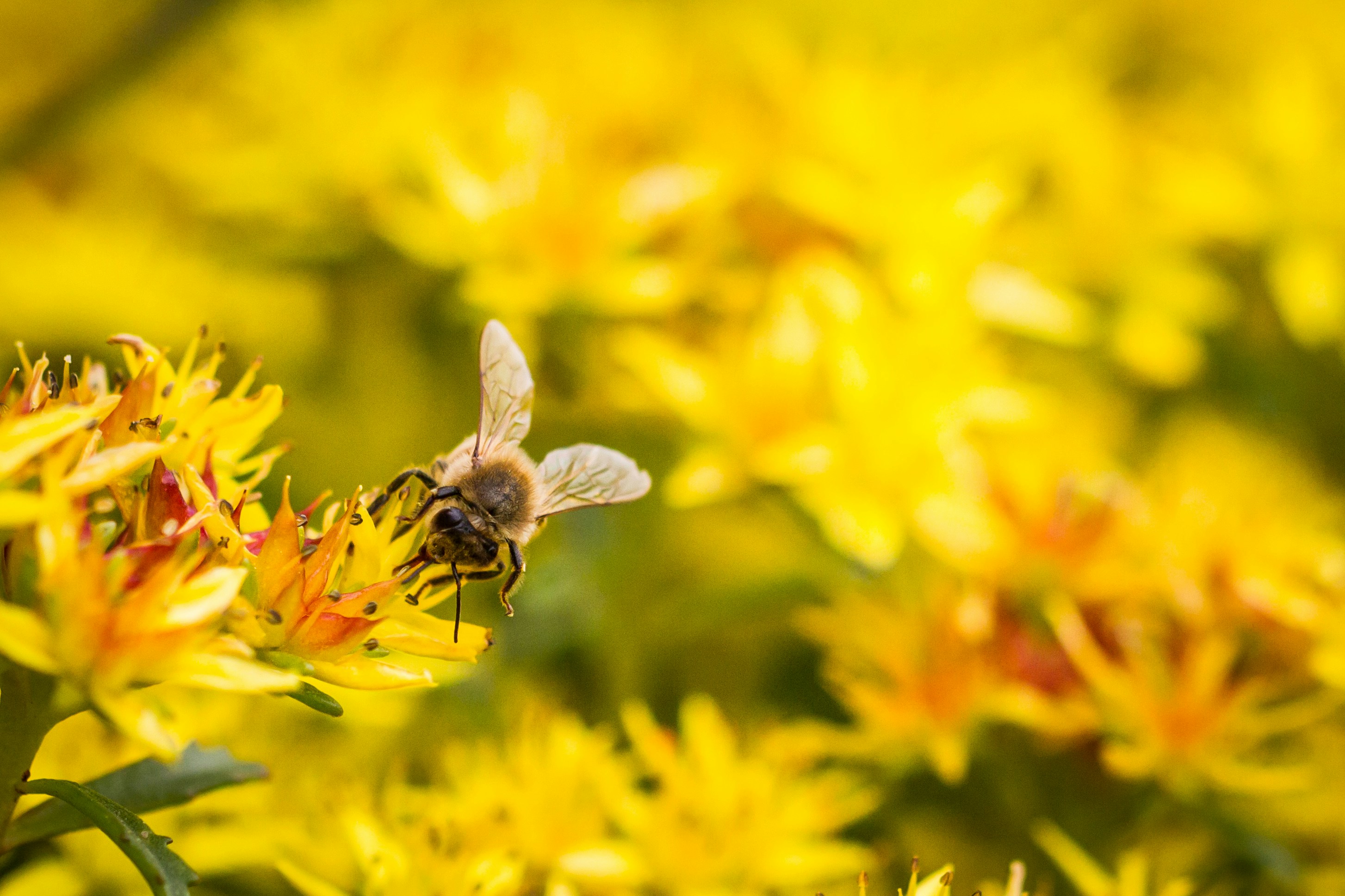 Photo by capturelight