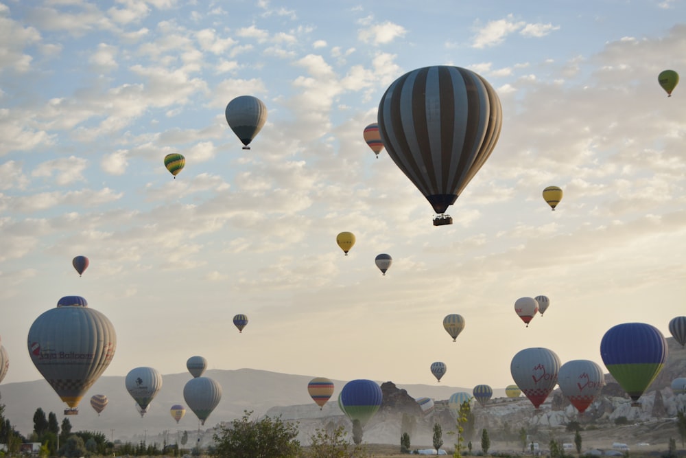 hot air balloons in the sky during daytime