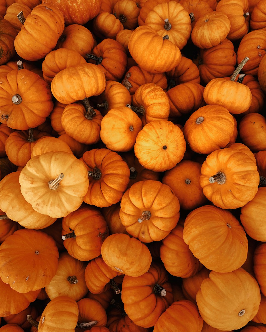orange pumpkins on brown wooden surface