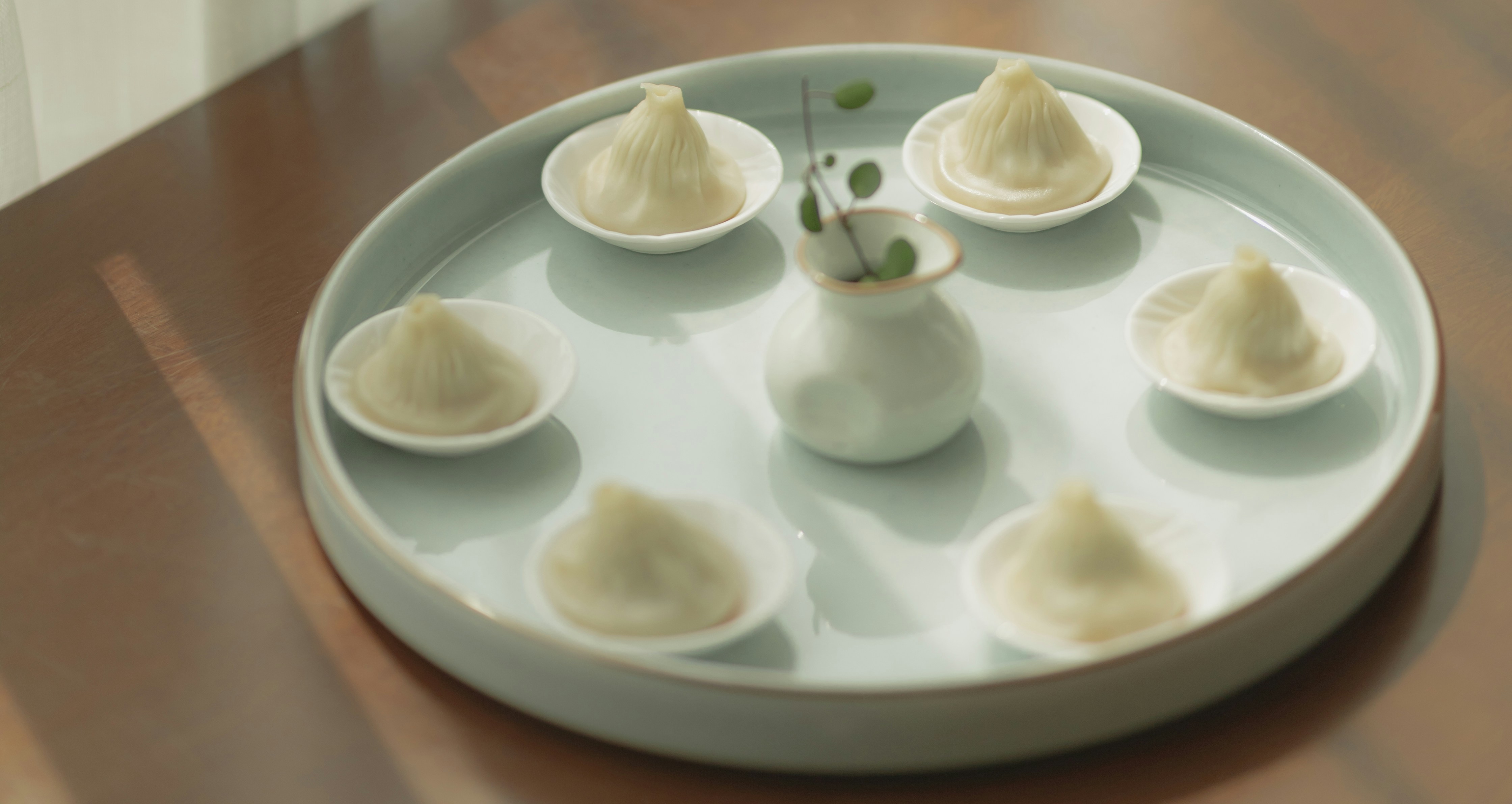 Dumplings arranged on a pale ceramic plate
