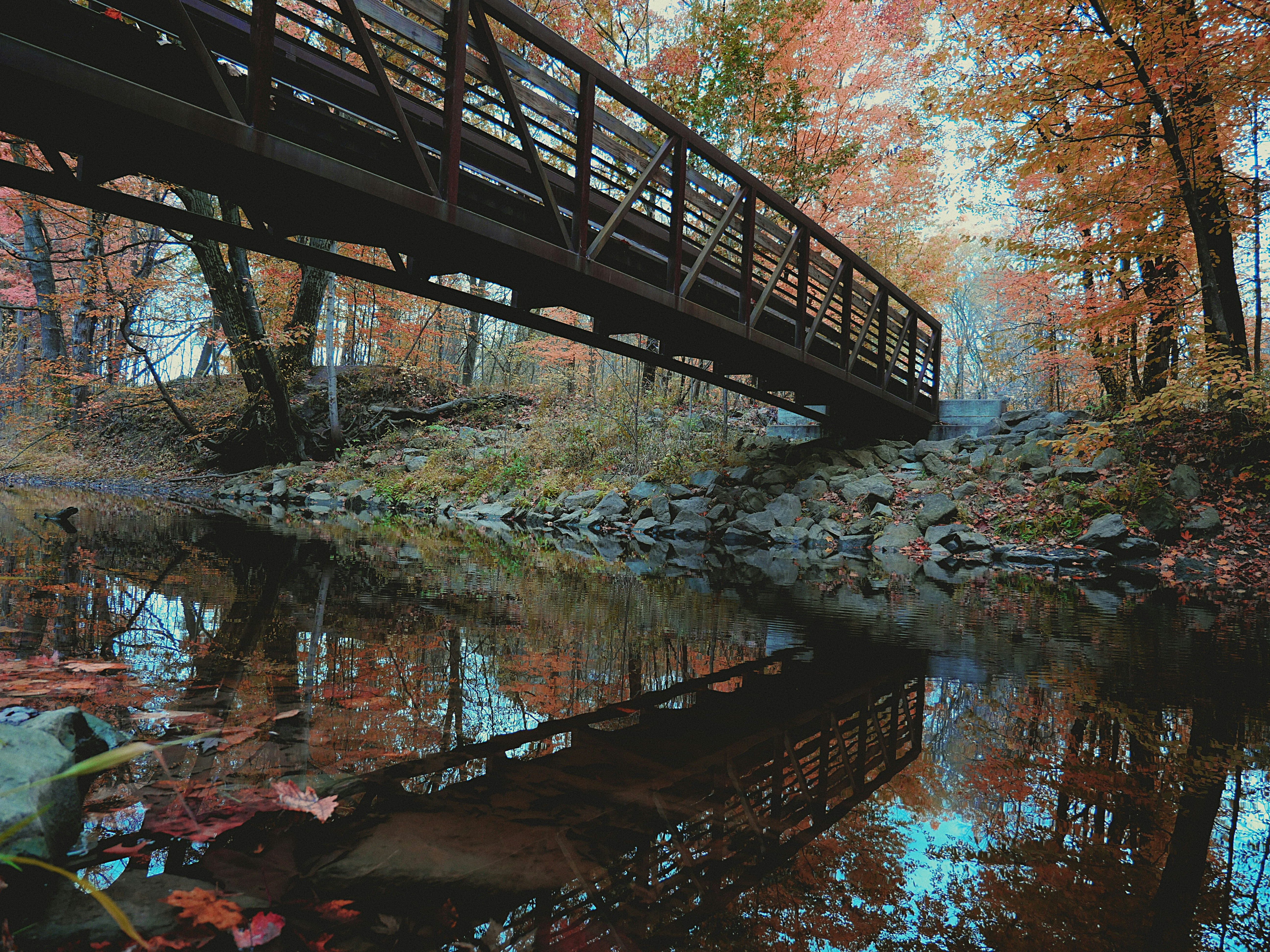 Burton Township, Illinois