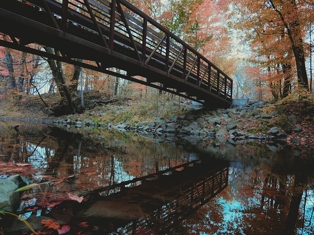 Puente de madera marrón sobre el río