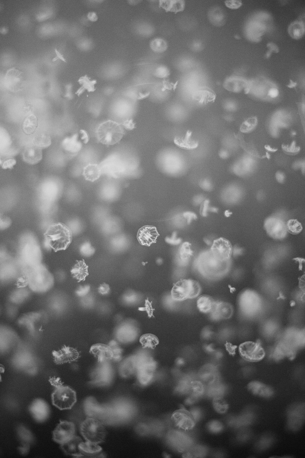 water droplets on glass panel