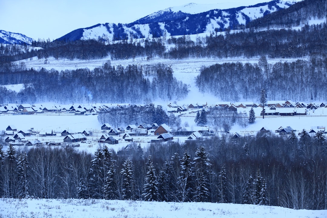 snow covered trees and mountains during daytime