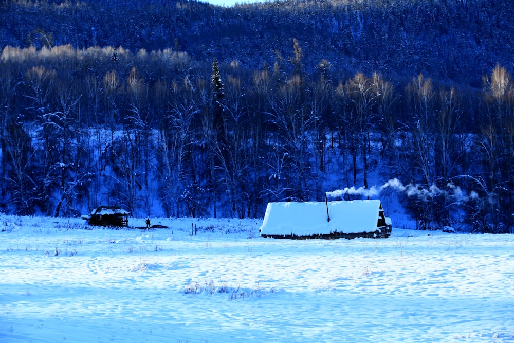 casa branca e preta no chão coberto de neve perto de árvores durante o dia
