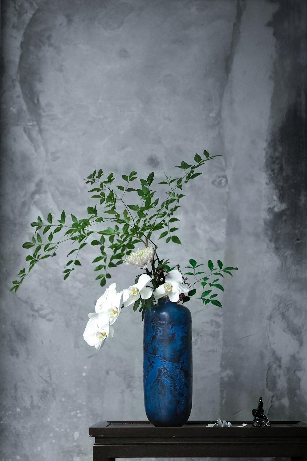 fiori bianchi in vaso blu