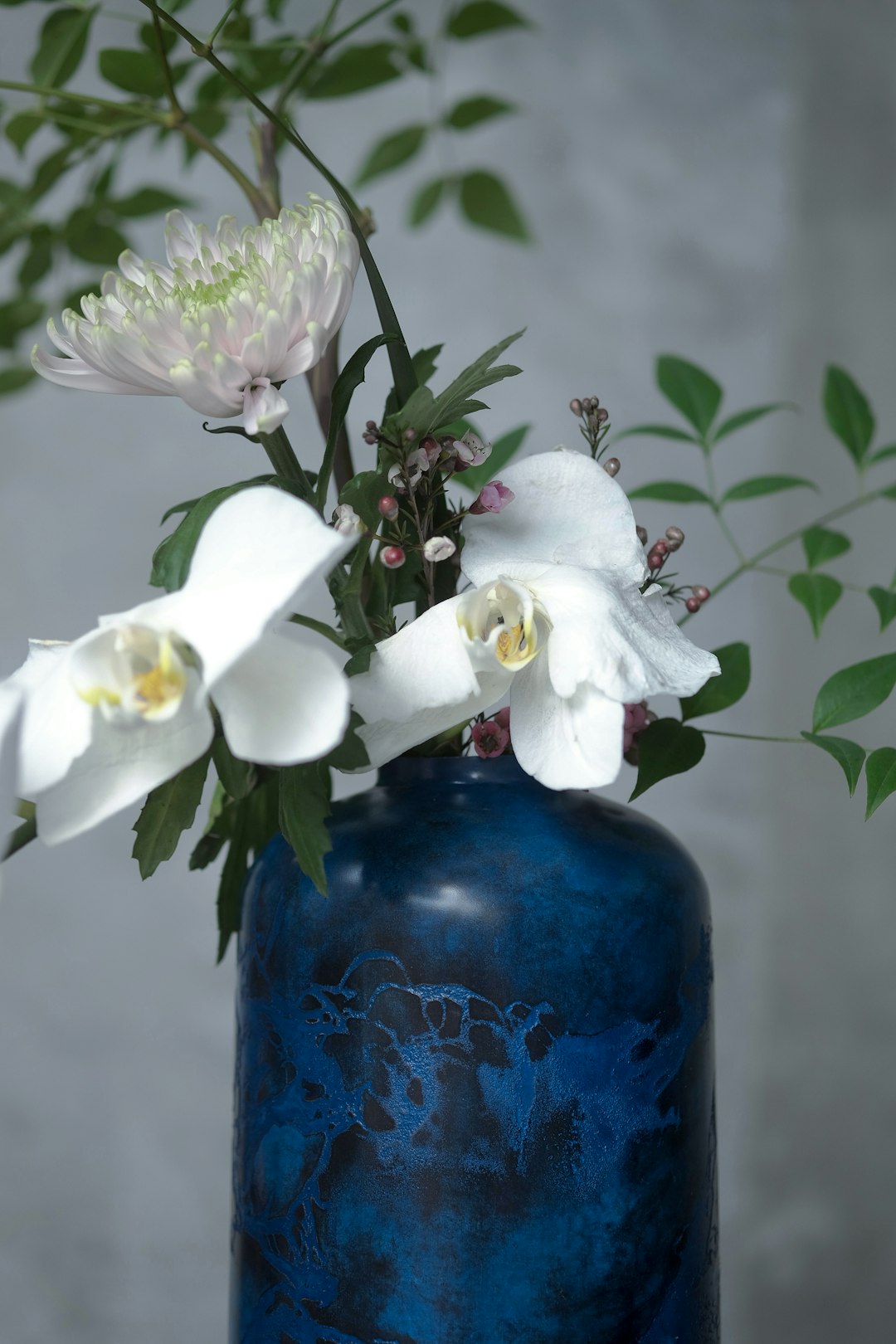 white and purple moth orchids in blue glass vase