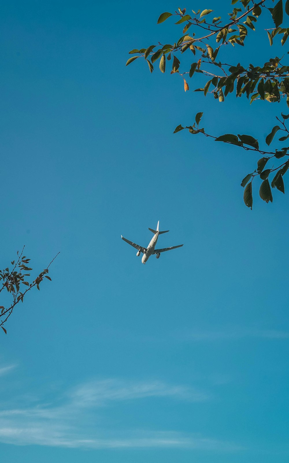 white airplane flying in the sky during daytime