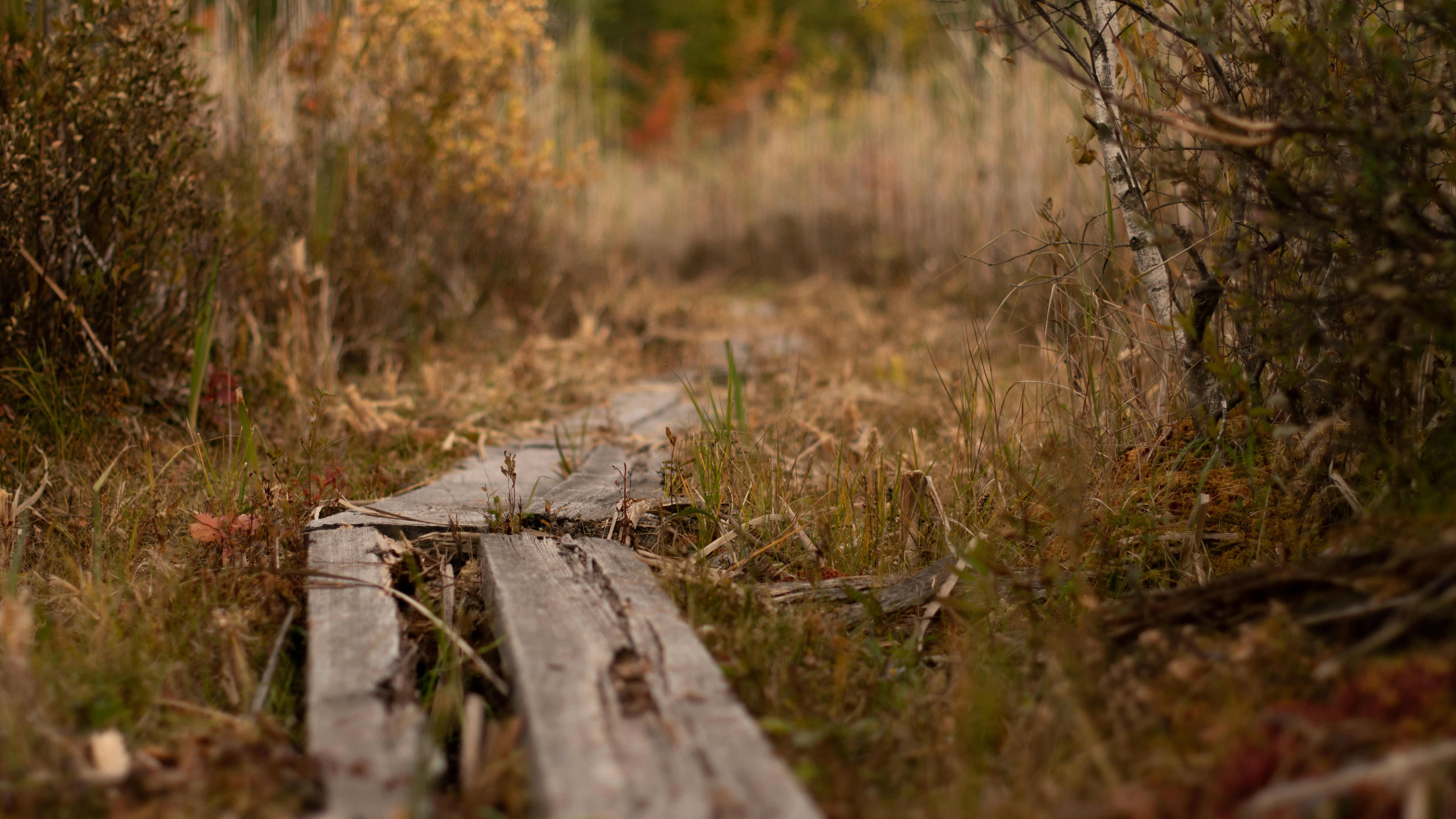 Newsletter for 15 Oct 2022