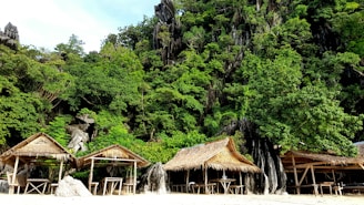 A tropical beach scene with thatched roof huts set against a backdrop of dense, lush greenery and rugged rock formations. The foreground is sandy, while the greenery includes a variety of trees and shrubs.