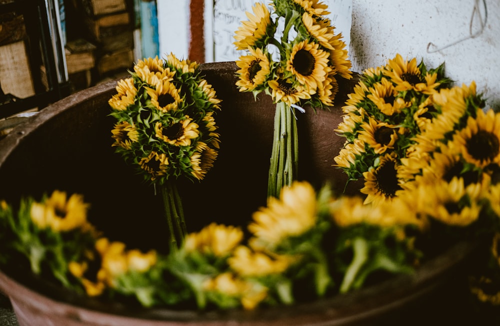 yellow flowers on black pot