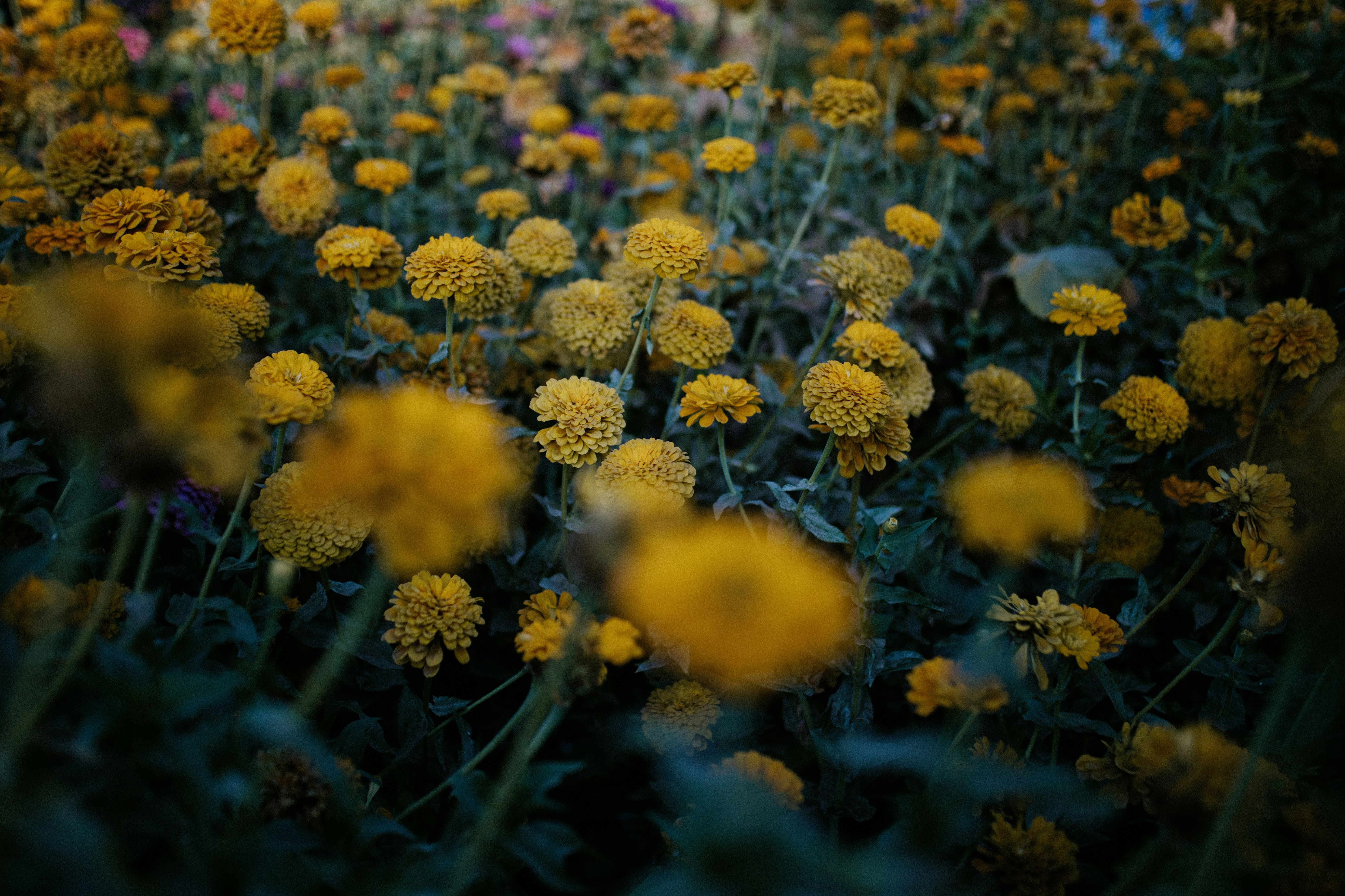 Photo by brandoncmorales