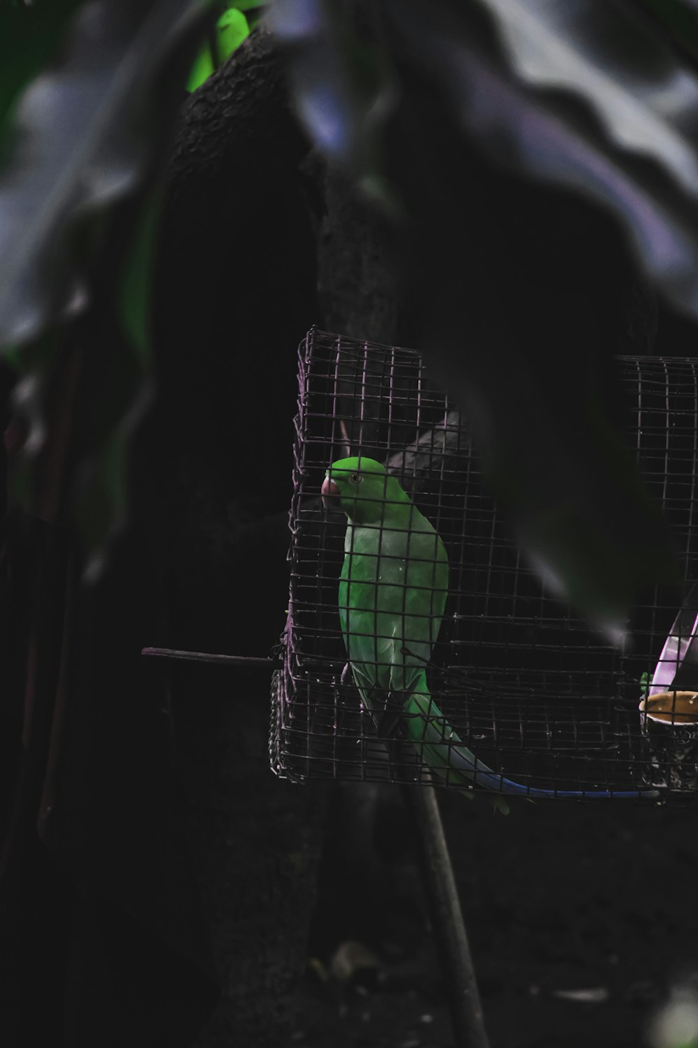 green bird on brown stick