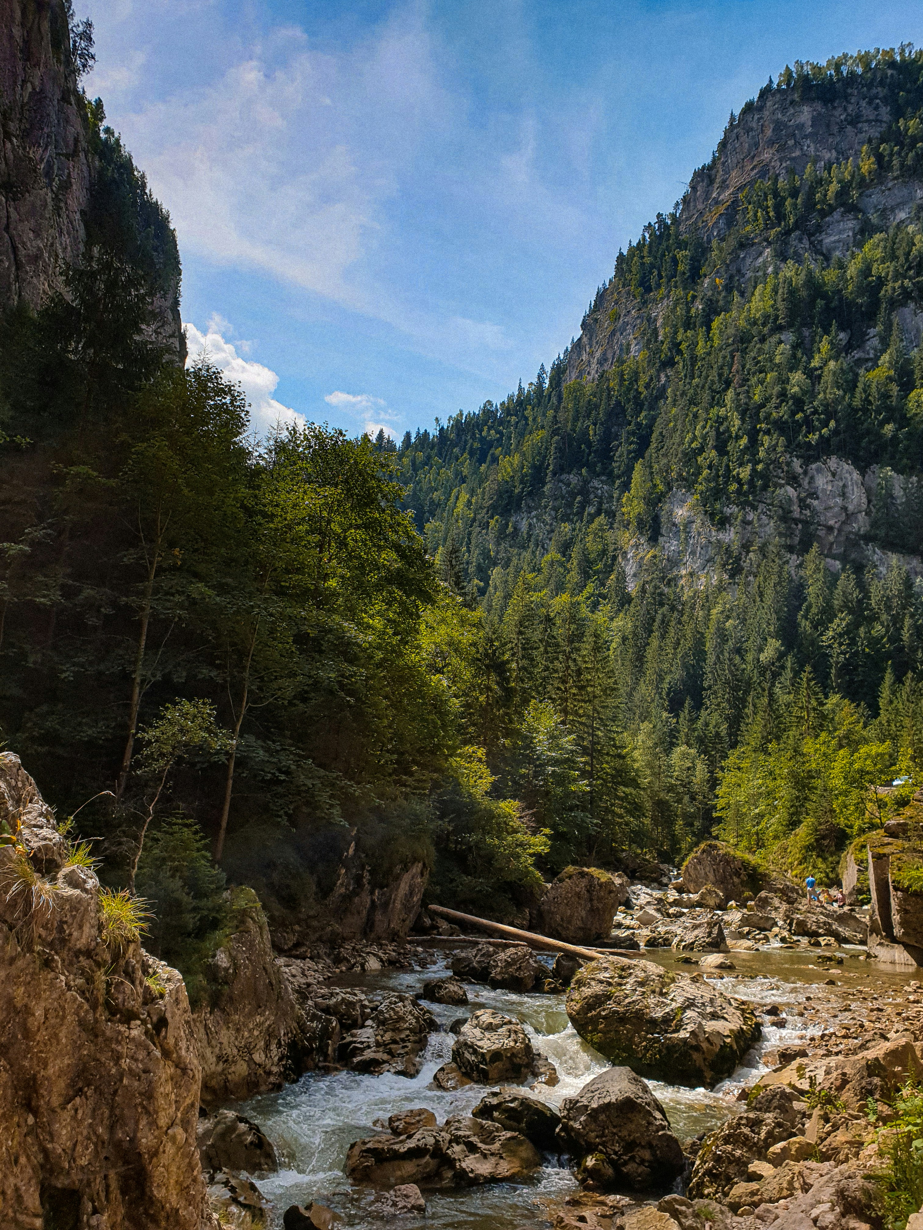 Photo by nasteagangal