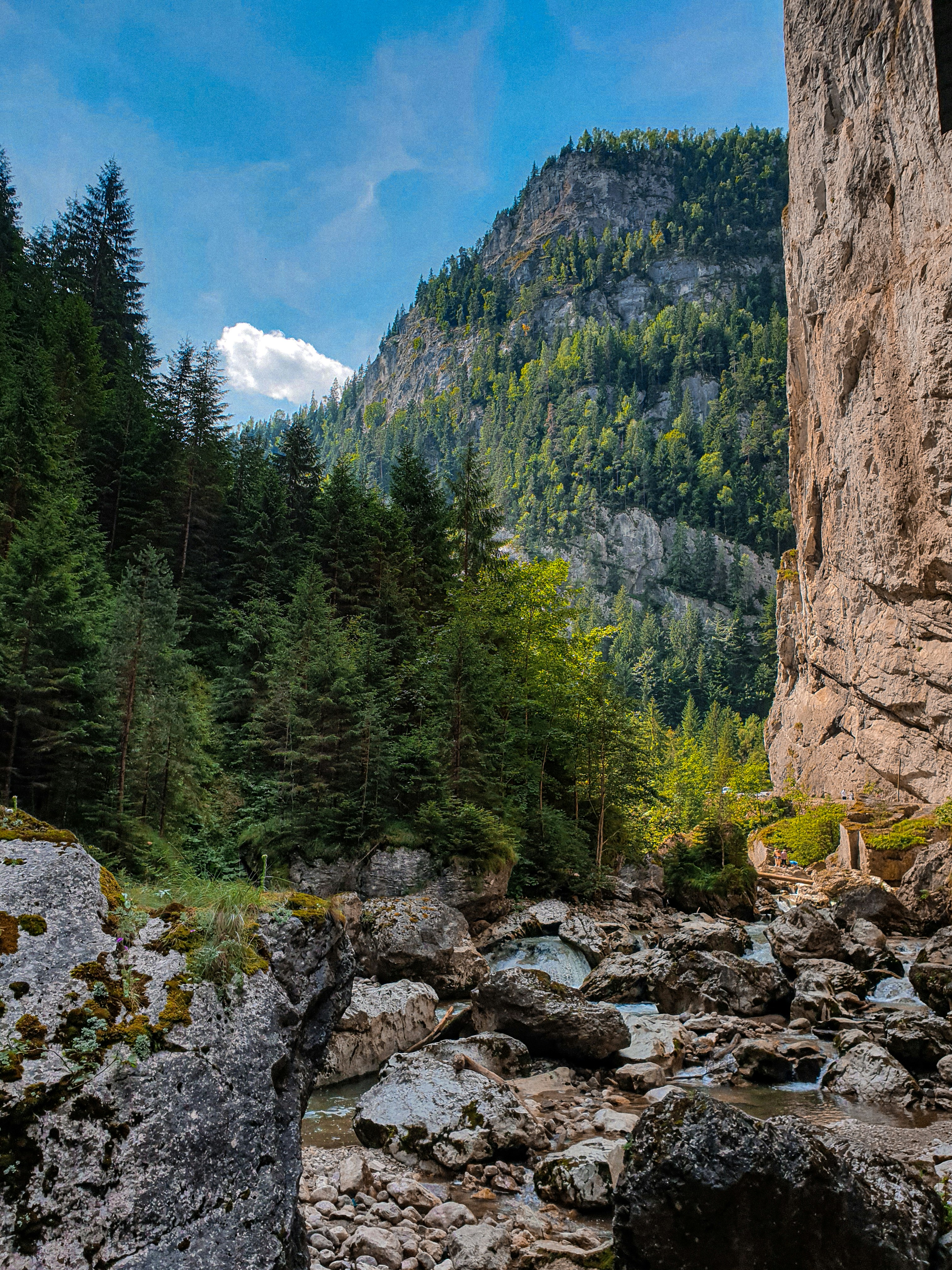 Photo by nasteagangal