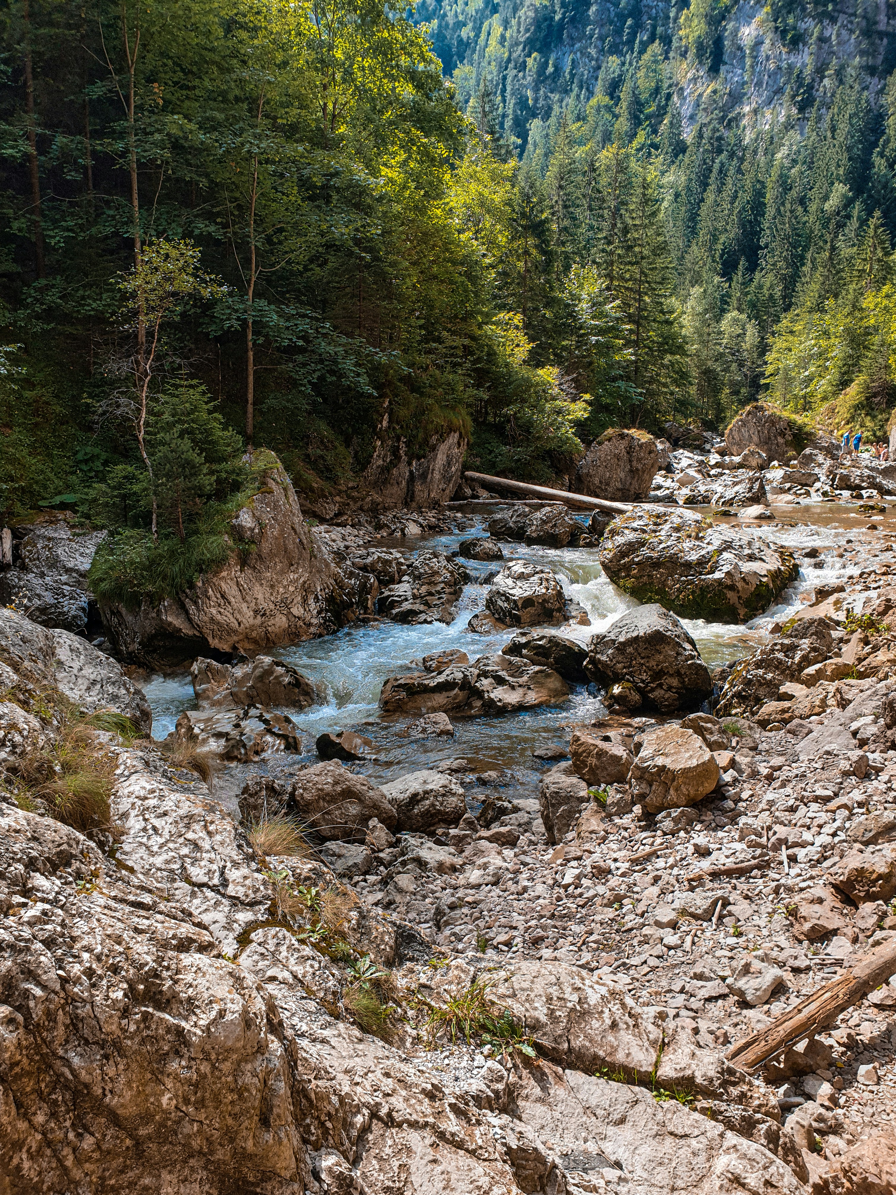 Photo by nasteagangal