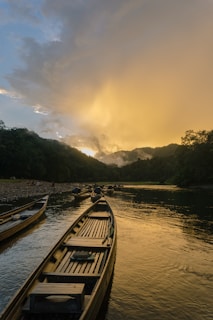 brown wooden boat on river during daytime
