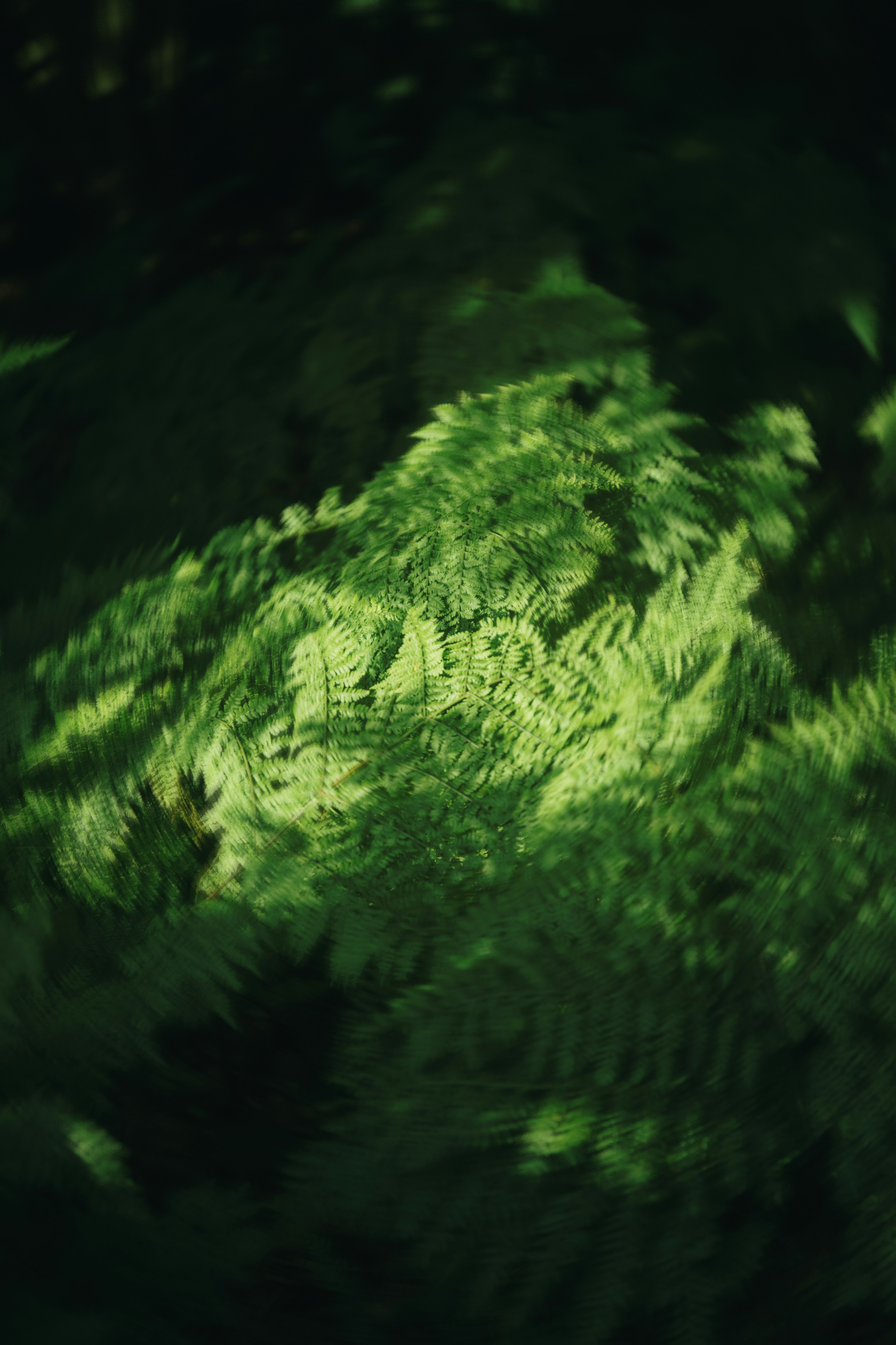 Photo by arctic_chaos