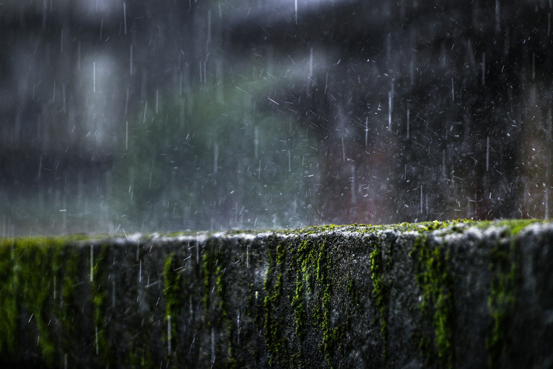 water droplets on black wooden fence