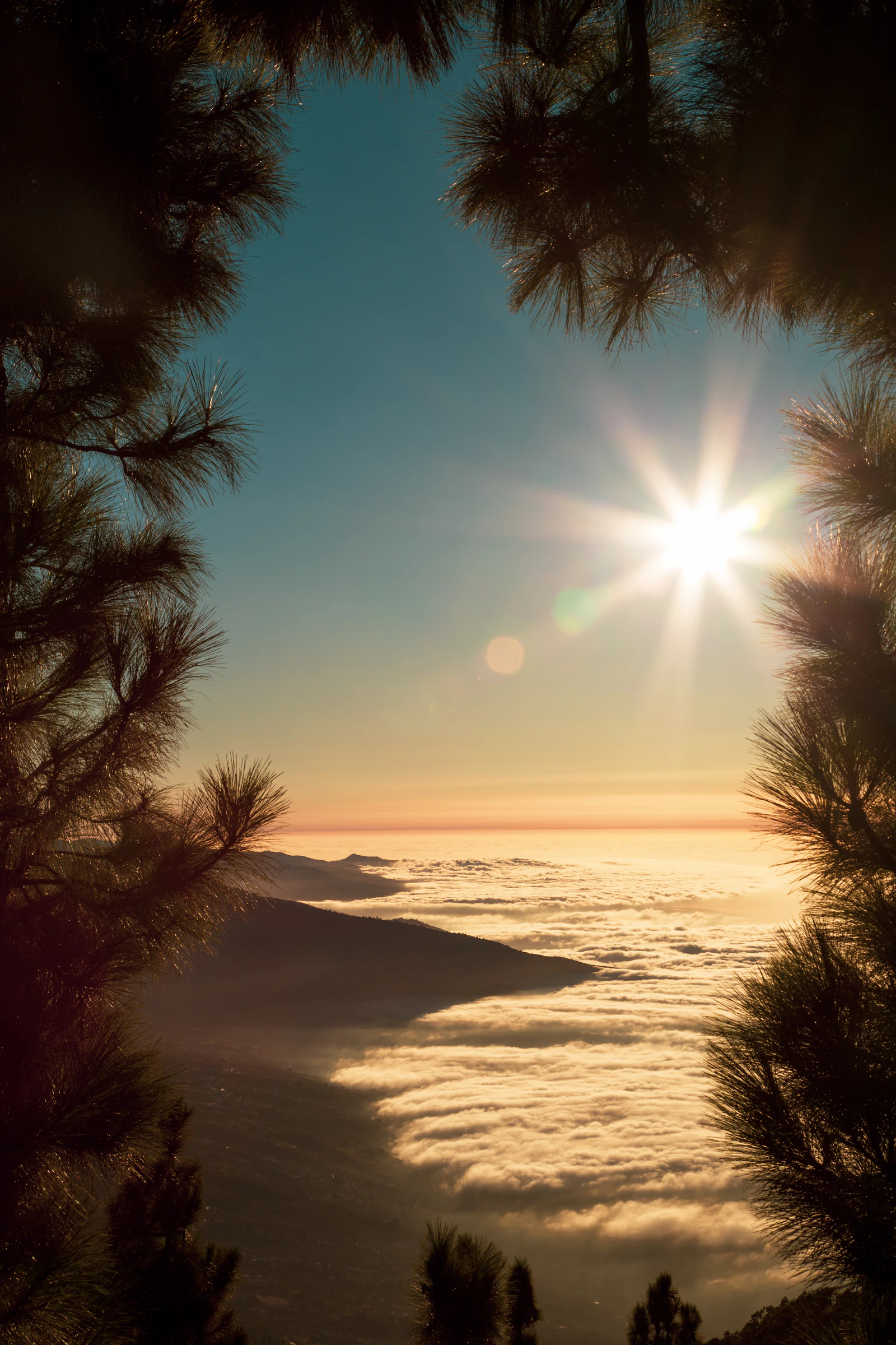 Sunset above the clouds near Mount Teide on Tenerife